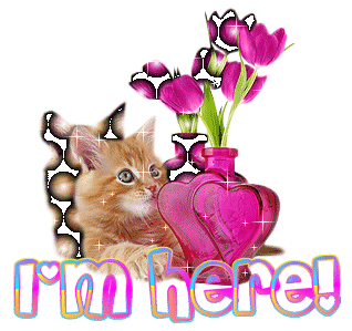 l'm here !