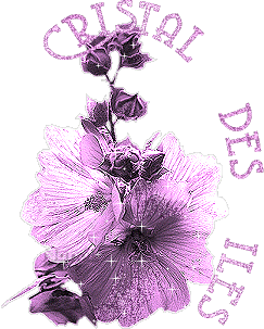 cristal des iles