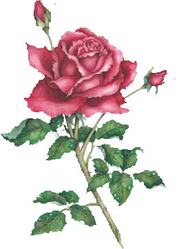 fleur