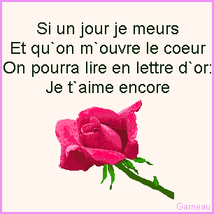 si un jour je meurs et qu'on m'ouvre le coeur on pourra lire en lettre d'or : je t'aime encore