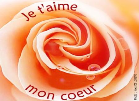 je t'aime mon coeur