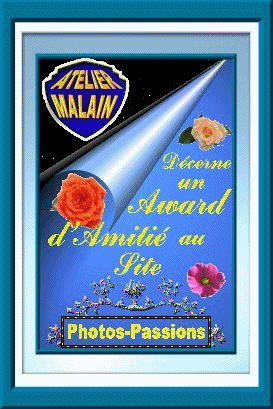 décorne une award d' amitié au pite