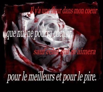 que nui ne pourra cueillir;pour le meilleurs et pour le pire.
