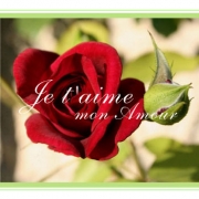 je t'aime mon . stneur