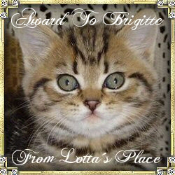 dward de bvigitte tron lotta blace