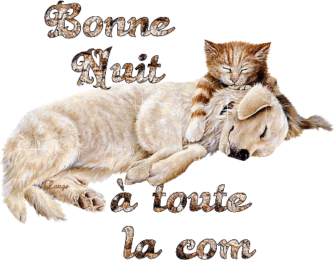 bonne nuit à toute la com