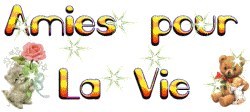 amies our la vie