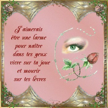j'aimerais étre une larme pour maàtre dans tes yeux vivre sur ta joue et mourir sur tes lévres